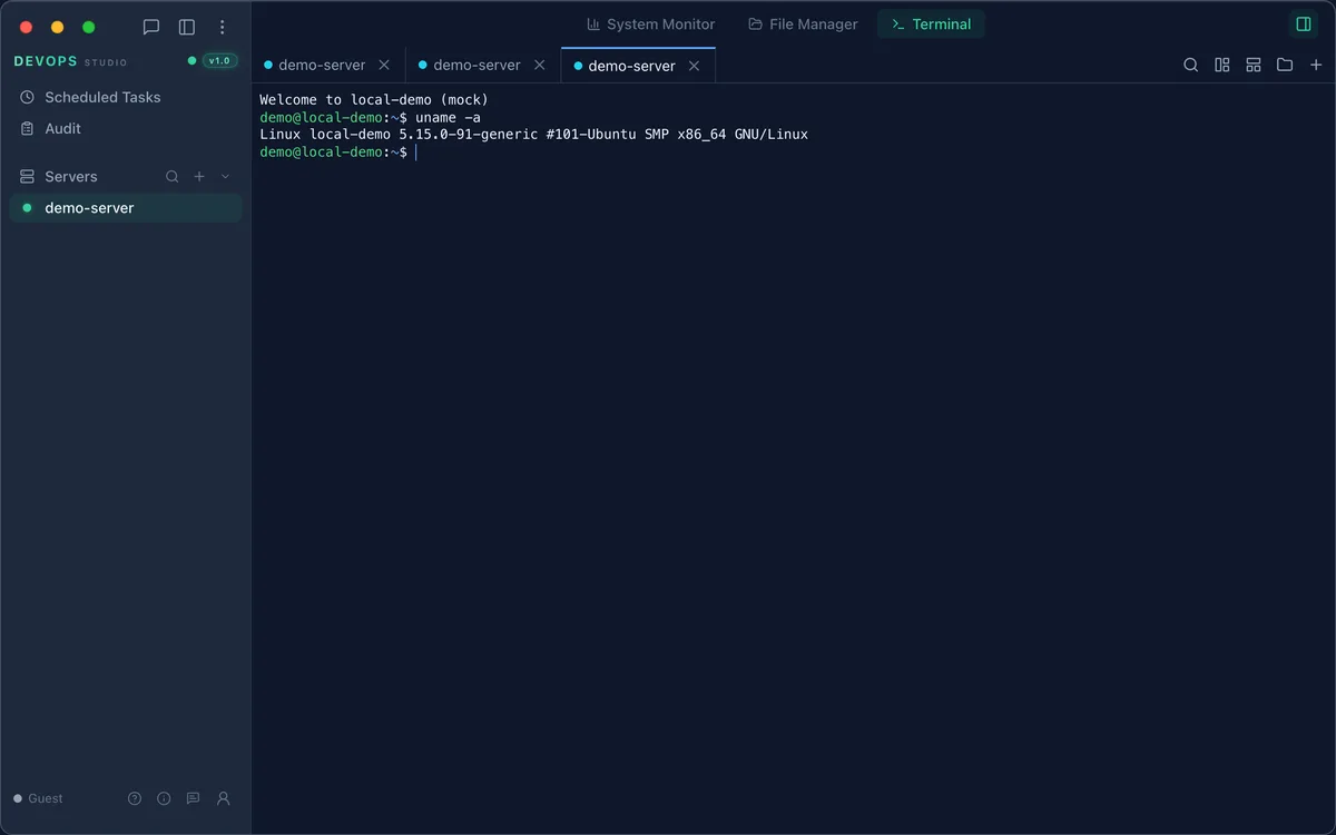 Terminal with command output